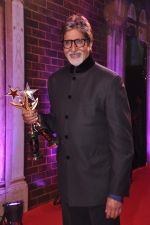 Amitabh Bachchan at Stardust Awards 2013 red carpet in Mumbai on 26th jan 2013 (649).JPG